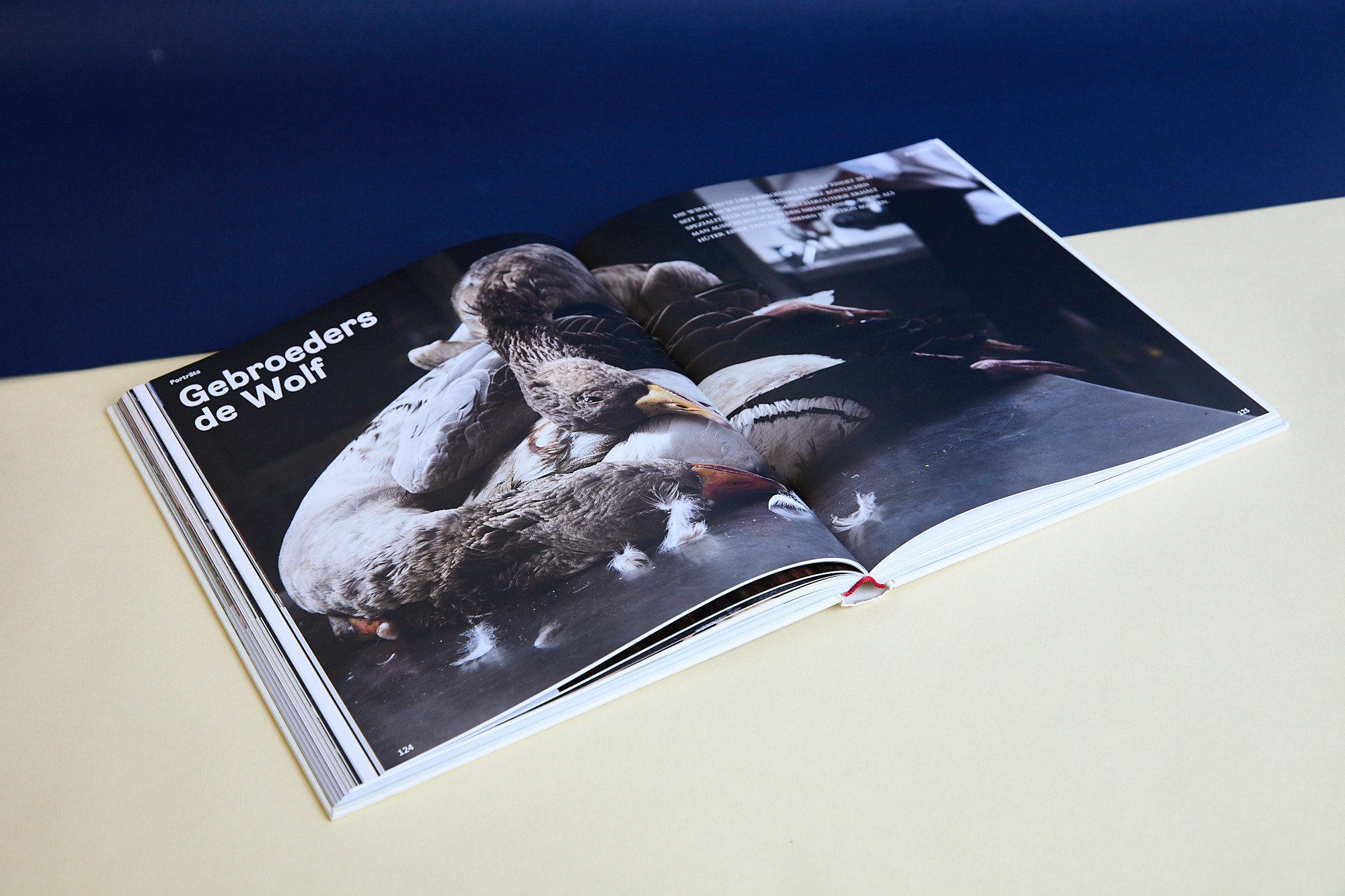 faible-creative-gestalten-verlag-crafted-meat-buchdesign-innenseite-10