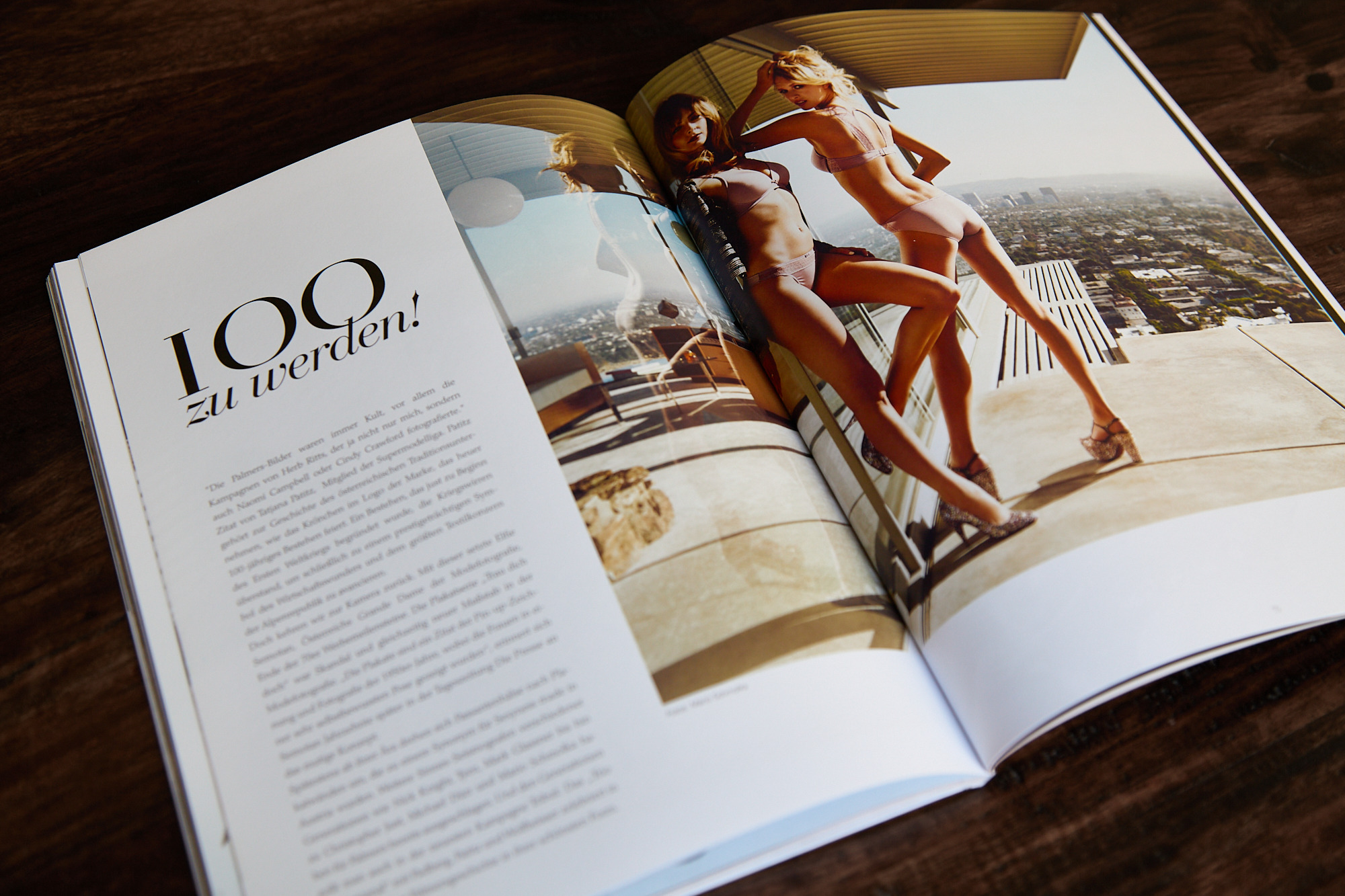 faible-creative-vienna-awards-2014-campaign-spread-palmers